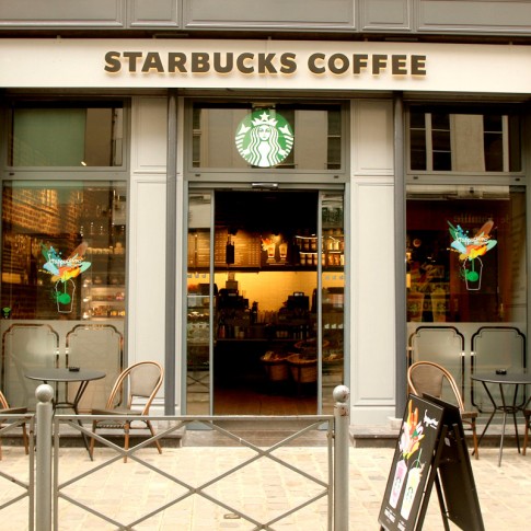 Starbucks Lille