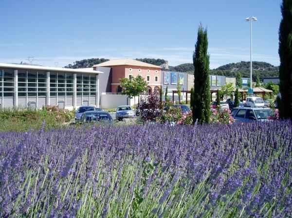 Decathlon Bouc Bel Air