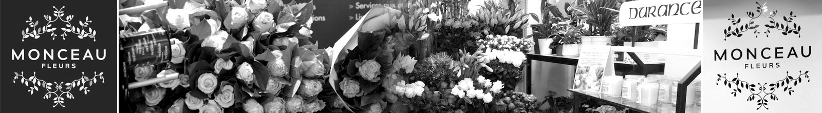illustration de Monceau Fleurs